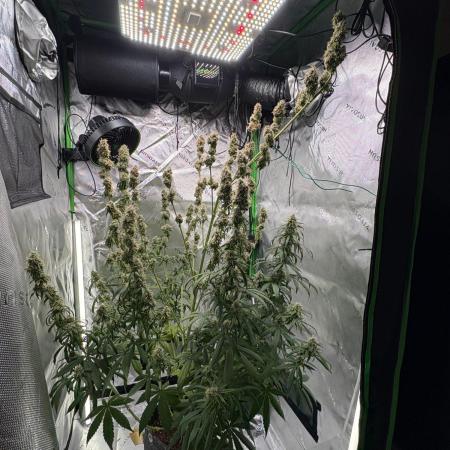 Northern Lights Auto