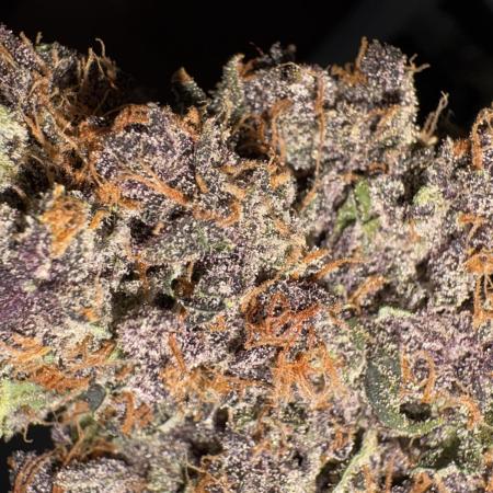 GRAND DADDY PURPLE AUTO