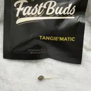 Tangie'matic
