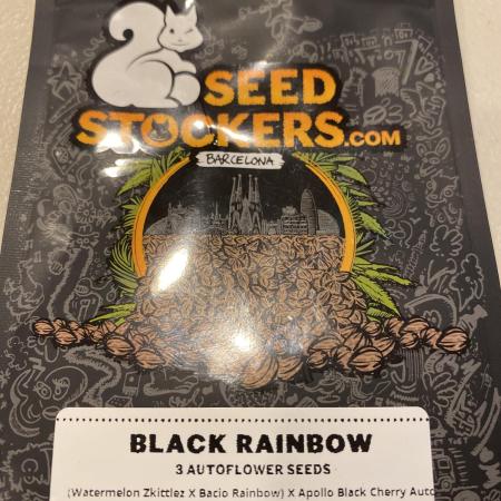 Black Rainbow Autoflower