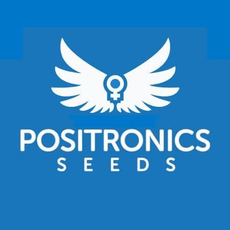 Positronics Seeds Test +1
