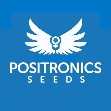 Positronics Seeds Test +1
