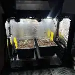 Speedy Chile Mini PC Grow