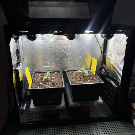 Speedy Chile Mini PC Grow