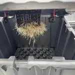 Alien Aeroponics with Robinhood Seeds