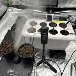Seed to Harvest Alien Aeroponics