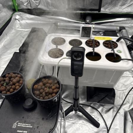 Seed to Harvest Alien Aeroponics