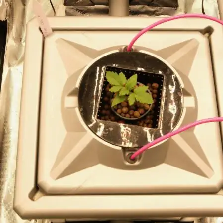Aeroponics Barney's Farm Vs Seedsman