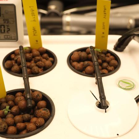 Seed to Harvest Alien Aeroponics