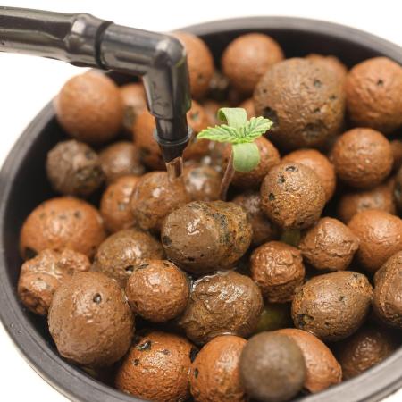 Seed to Harvest Alien Aeroponics