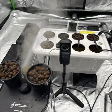 Liberty Haze Aeroponics