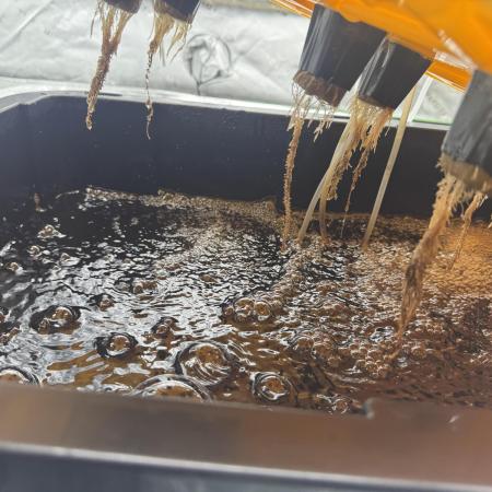 Alien Aeroponics with Robinhood Seeds