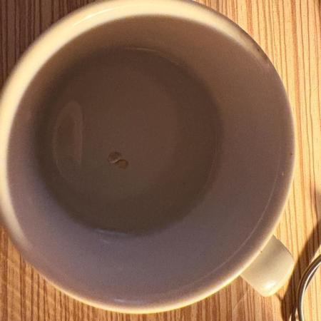 My first grow 2x Northern Lights