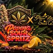 CCG x GreenHouse Seeds