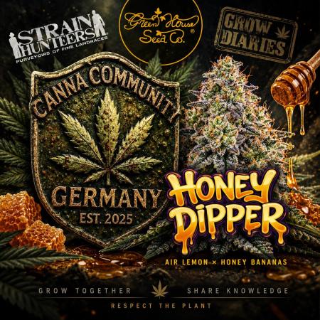 CCG x Green House Seed Co.