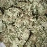 Big Z, Cream Caramel, Supersilvergary