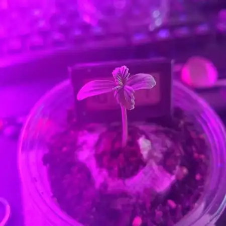 Plantbook