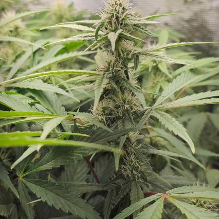 GSC - Time for a change!
