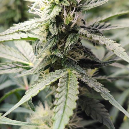 GSC - Time for a change!