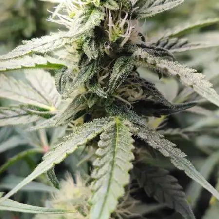GSC - Time for a change!
