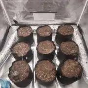 Gorilla Cookies R1-2-3