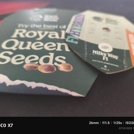 MilkyWay F1 #first-try