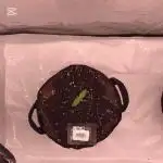 Anubis ( Z UP FastBuds)