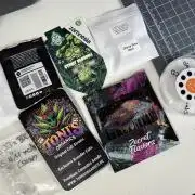 Eternity Cup 26 Zamnesia StickyBroccoli