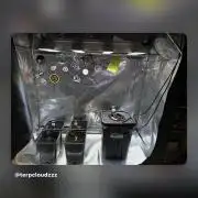 Eternity Cup 26 Zamnesia StickyBroccoli