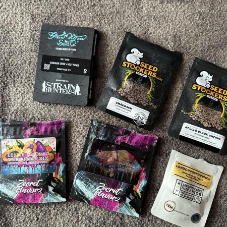 NewLifeNewGrow