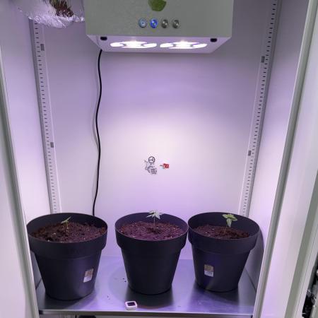 Hazelbox Ultra 2025 RQS Titan F1 Test