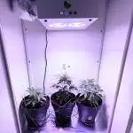 Hazelbox Ultra 2025 RQS Titan F1 Test