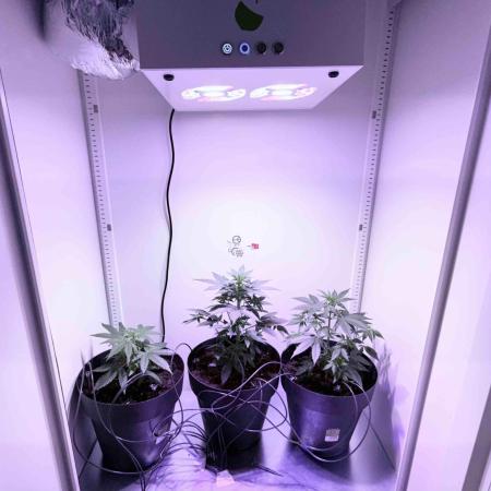 Hazelbox Ultra 2025 RQS Titan F1 Test