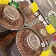 Mix grow