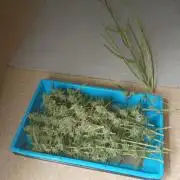 Mix grow