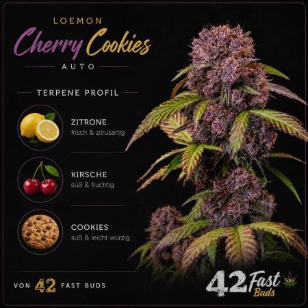 Lemon Cherry Cookies