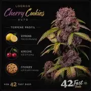Lemon Cherry Cookies