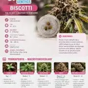 Biscotti