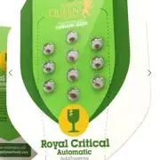 Royal critical