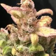 Wedding cake/nebenbei