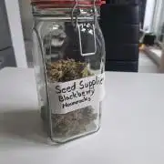Blackberry Moonrocks