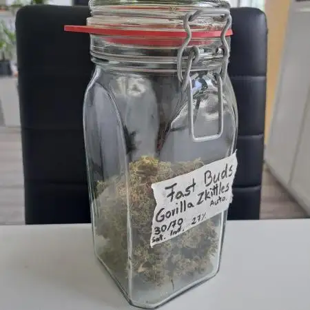 Gorilla Zkittles
