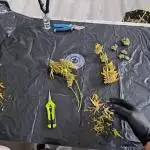 Fastbuds Gorilla Zkittles