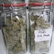 Og Kush