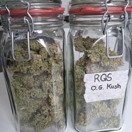 Og Kush