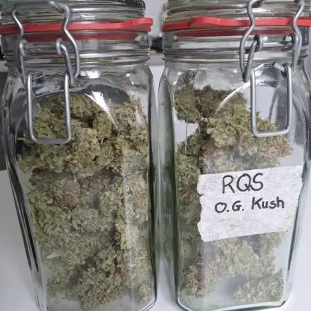 Og Kush