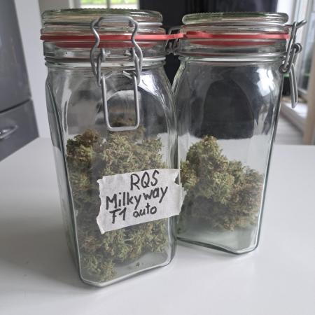 Milky way F1 auto - nebenher