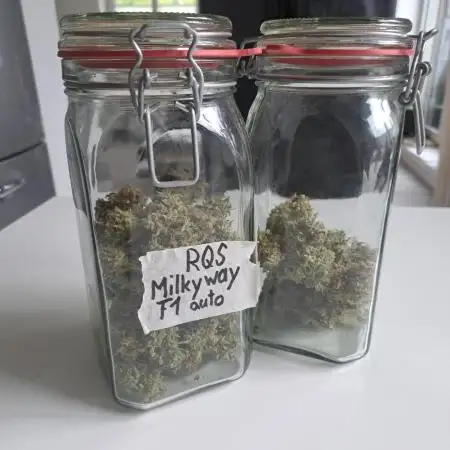 Milky way F1 auto - nebenher