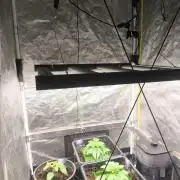 Zamnesia 2026 Plagron Eternity grow cup