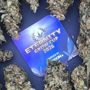Zamnesia 2026 Plagron Eternity grow cup